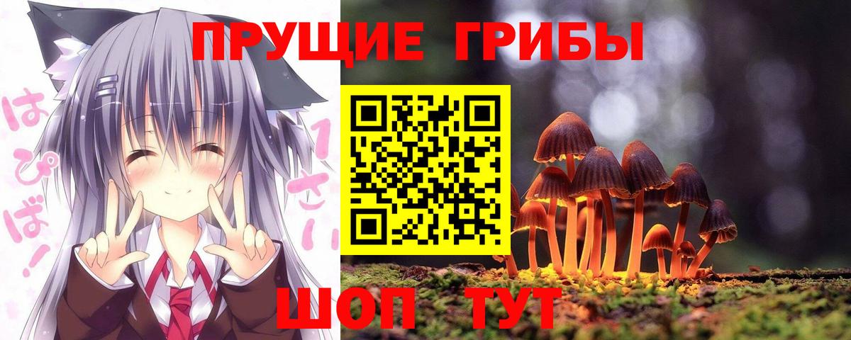 Петровск  Галлюциногенные грибы мицелий  Псилоцибиновые грибы прущие грибы  даркнет сайт  Вход с VPN 