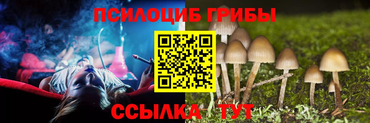 Псилоцибиновые грибы GOLDEN TEACHER Петровск